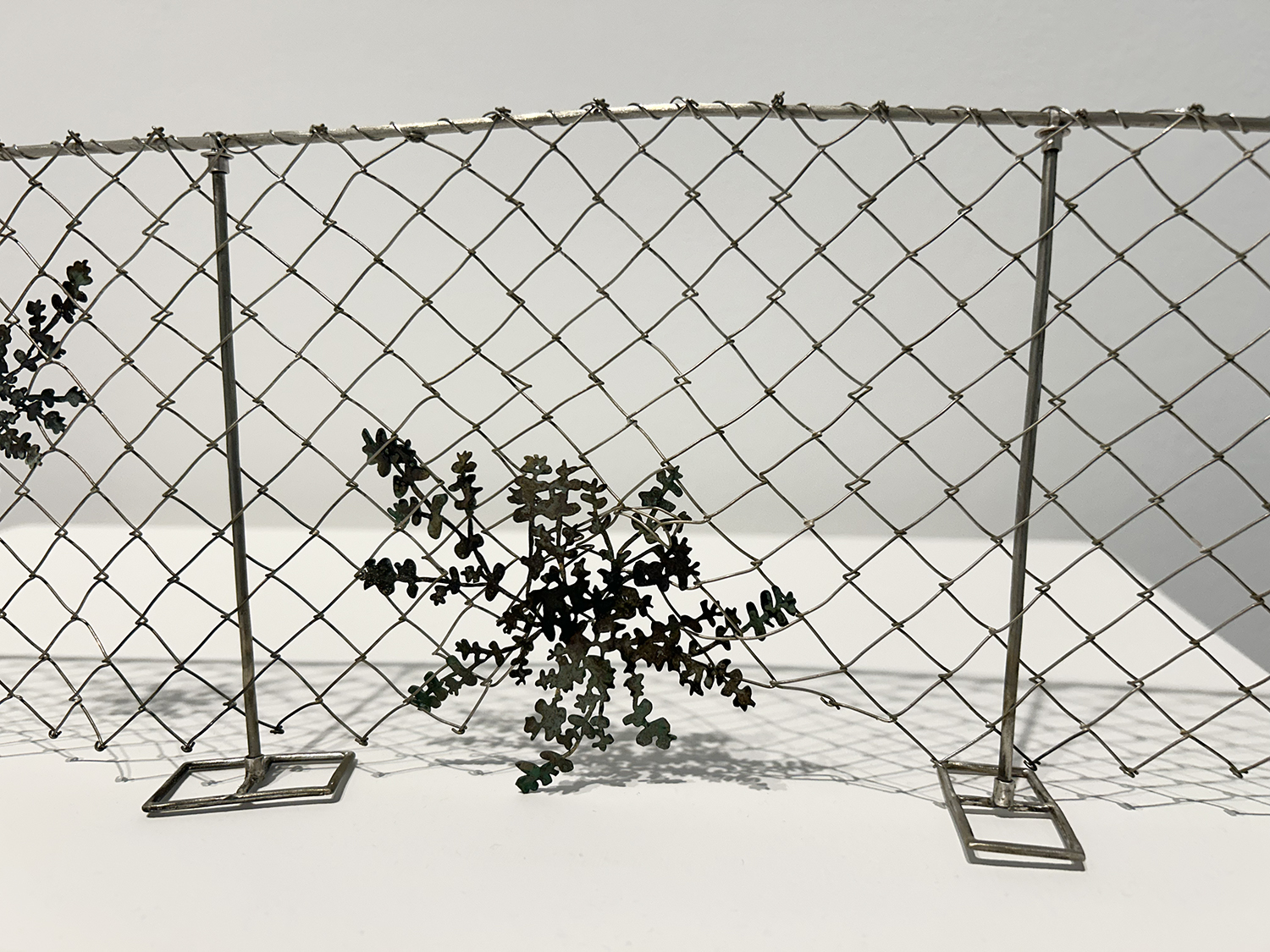 Overlooked Installation exhibits fence-climb- by Natalie Macellaio